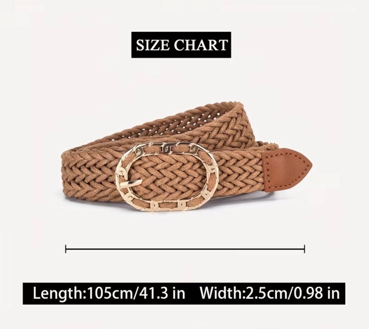Woven Belt with Gold Buckle in 8 Colours