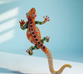 Chameleon Lizard